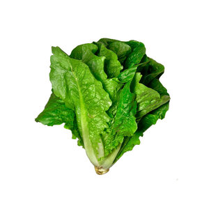 ALMEIRÃO					