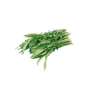 CATALONHA					