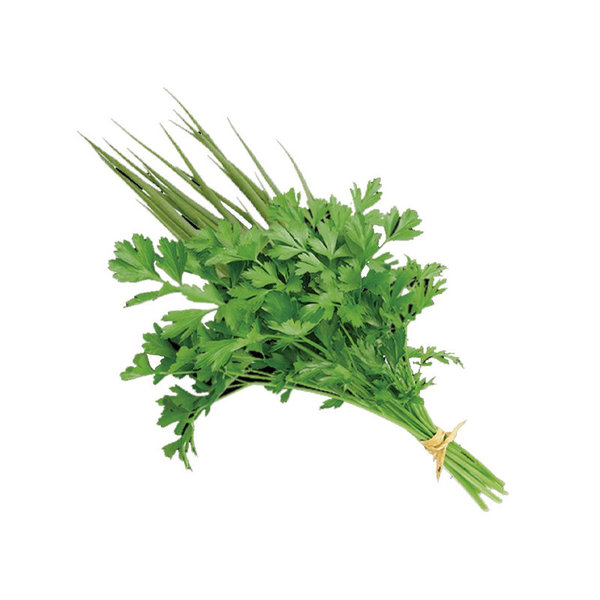 CHEIRO VERDE					