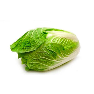 ACELGA					