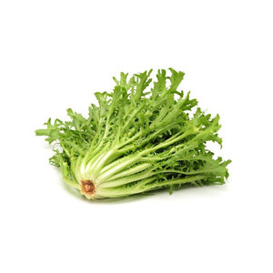 ESCAROLA					