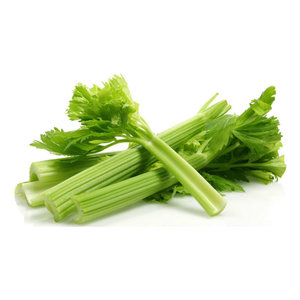 SALSÃO					